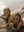 Little Seeker Sunglasses