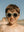 Little Seeker Sunglasses