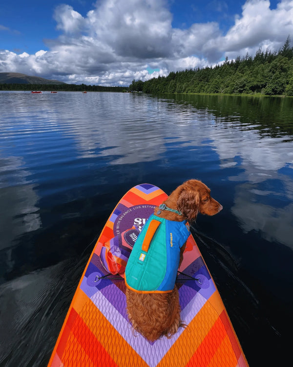 Retro Warfleet Inflatable Paddle Board